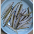 supply clean whole pond smelt fish iqf frozen seafood